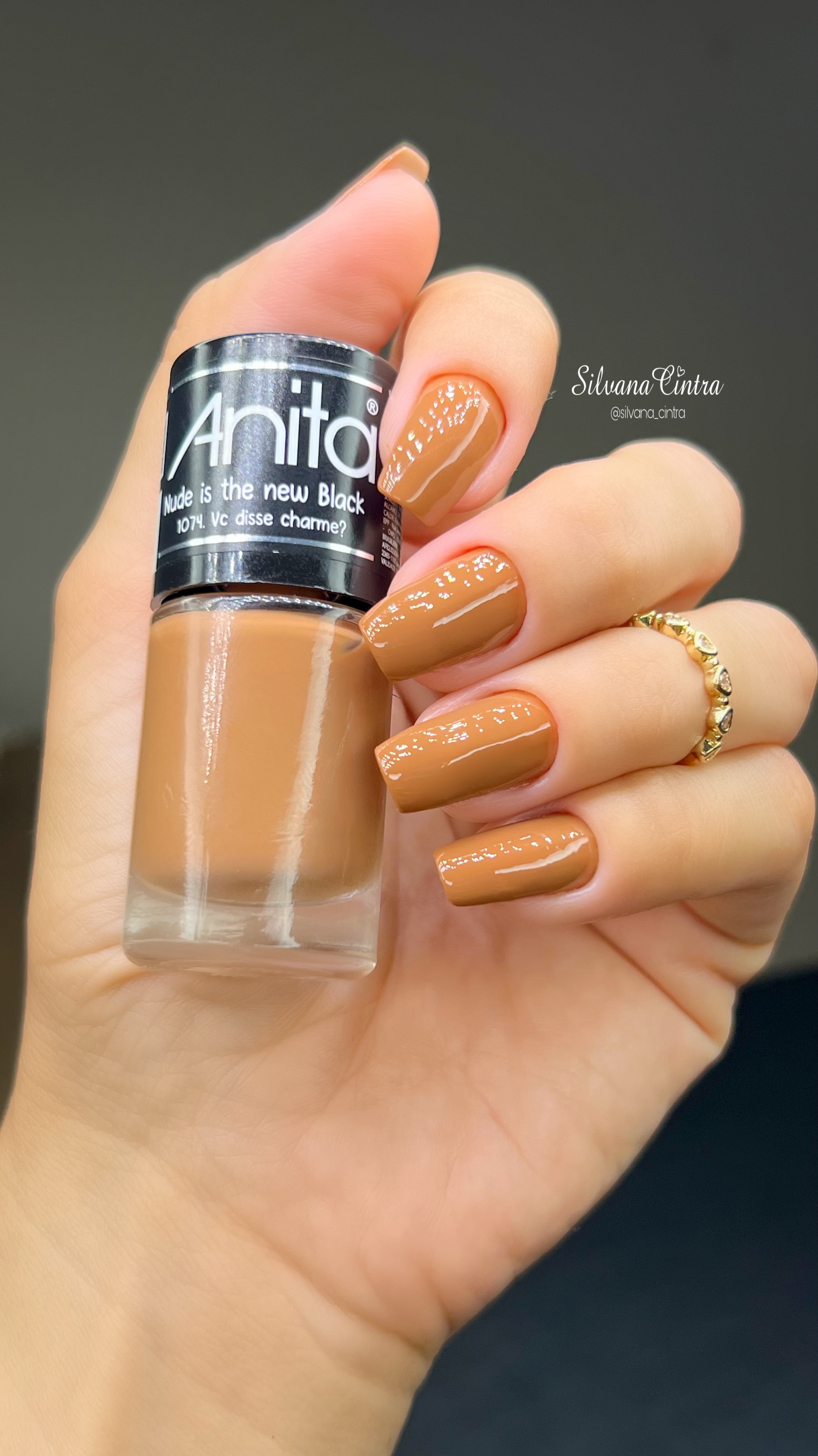 Esmalte Anita Vc Disse Charme? da Coleção Nude Is The New Black